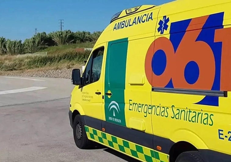 Una pelea deja un herido grave en las fiestas de Ogíjares