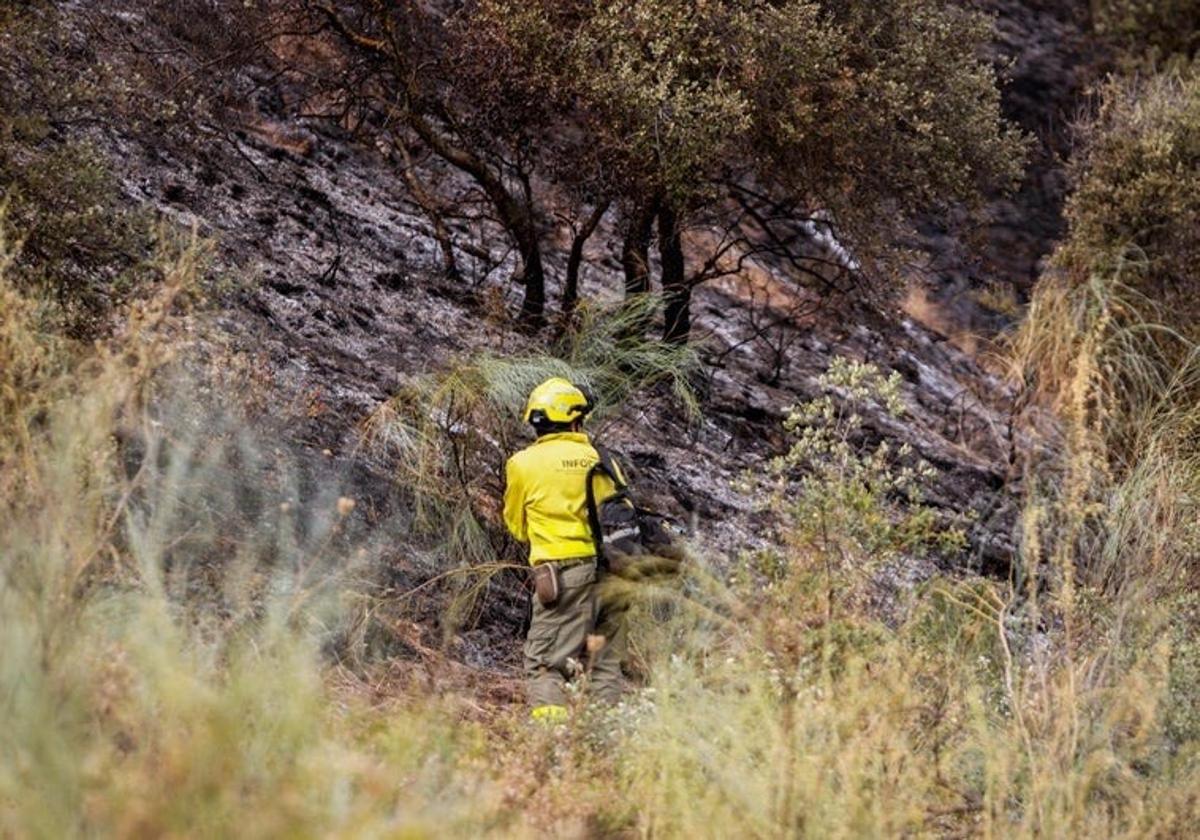 Apuntan a tres menores Â«jugando con un mecheroÂ» como presuntos autores del incendio de la Fuente de la Bicha