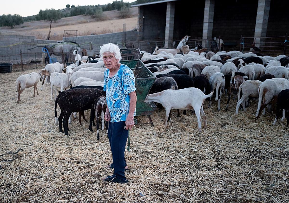 Imagen principal - Antonia trabaja de sol a sol. 