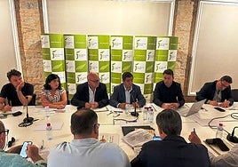 Consejo Provincial del Olivar.