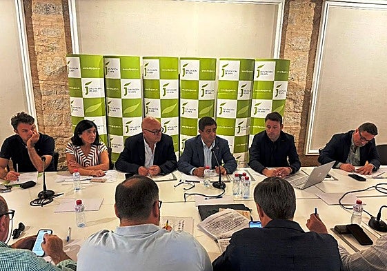 Consejo Provincial del Olivar.