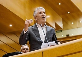 El ministro del Interior, Fernando Grande Marlaska, durante una sesión de control al Gobierno en el Senado.