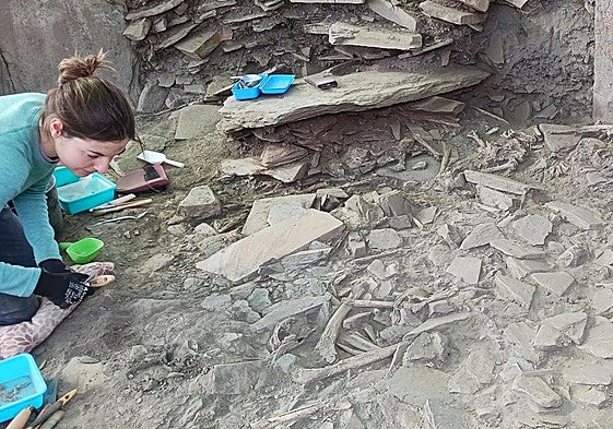 Imagen de archivo de una excavación en Los Milanes de Abla.