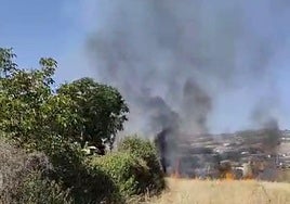 Incendio en una parcela en Pinos Puente