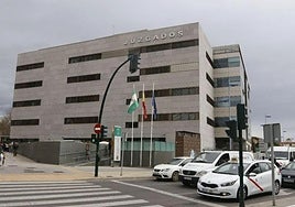 La detenida por apuñalar a su exmarido con un cuchillo jamonero en Almería pasa ante el juez este sábado