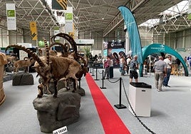 Inauguración de Ibercaza en Ifeja.