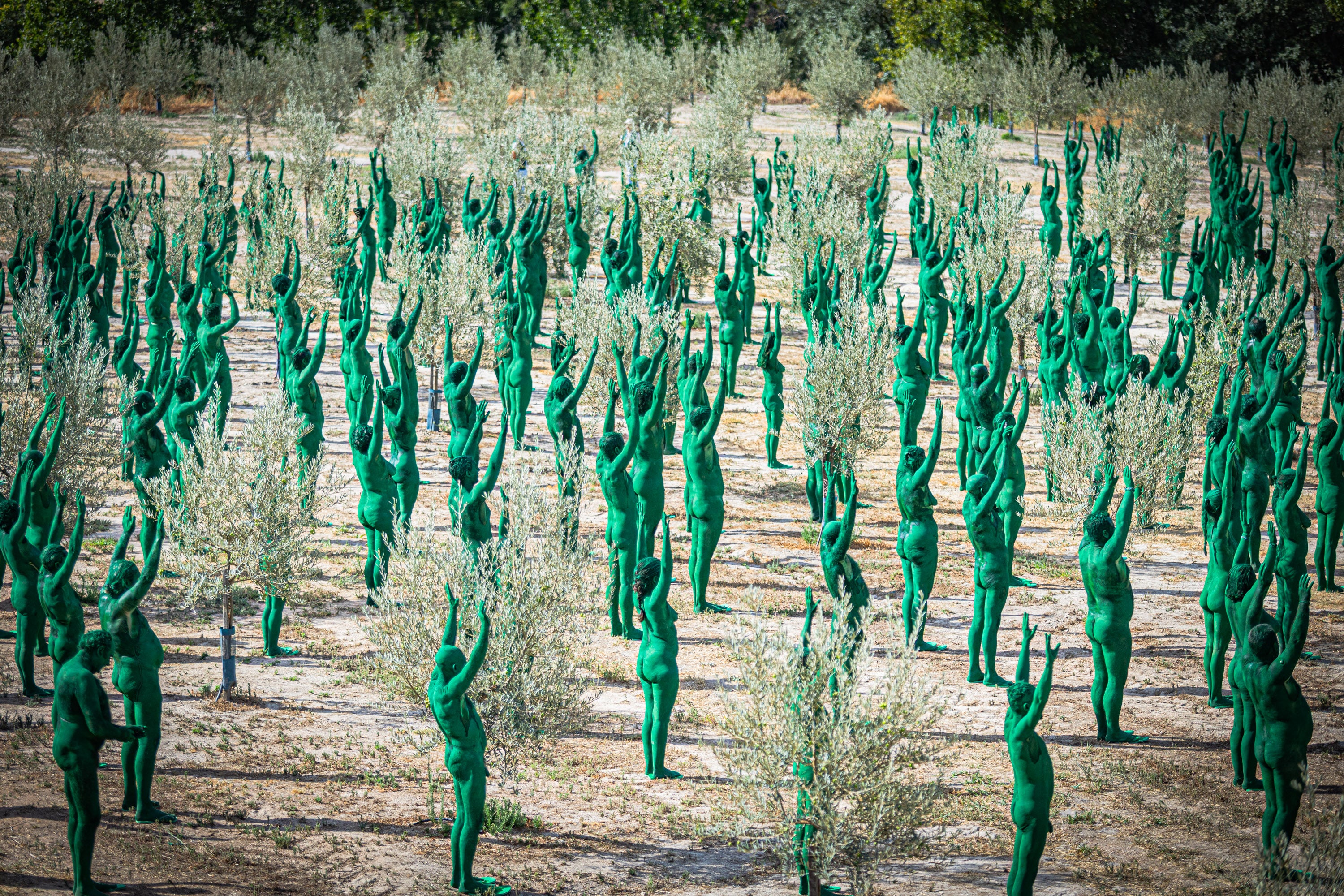 Las imágenes de los desnudos verdes en Granada
