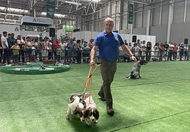 Exhibición de adiestramiento de perros.