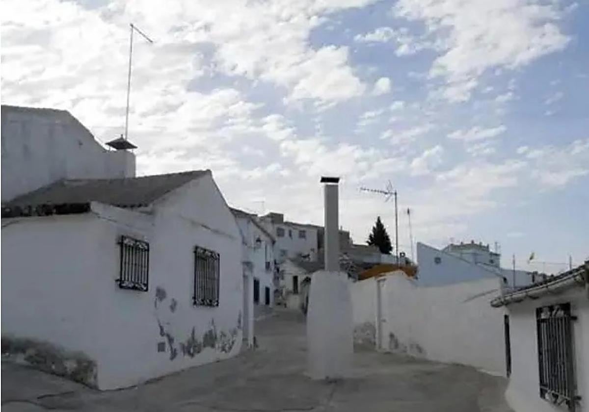 Imagen de Moraleda de Zafayona