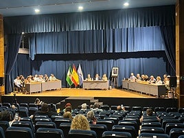 En la sesión, el Grupo Municipal Popular, a través de su portavoz Rafael Caballero, presentó una enmienda que fue finalmente aprobada e introdujo cambios importantes en la propuesta inicial de Convergencia Andaluza