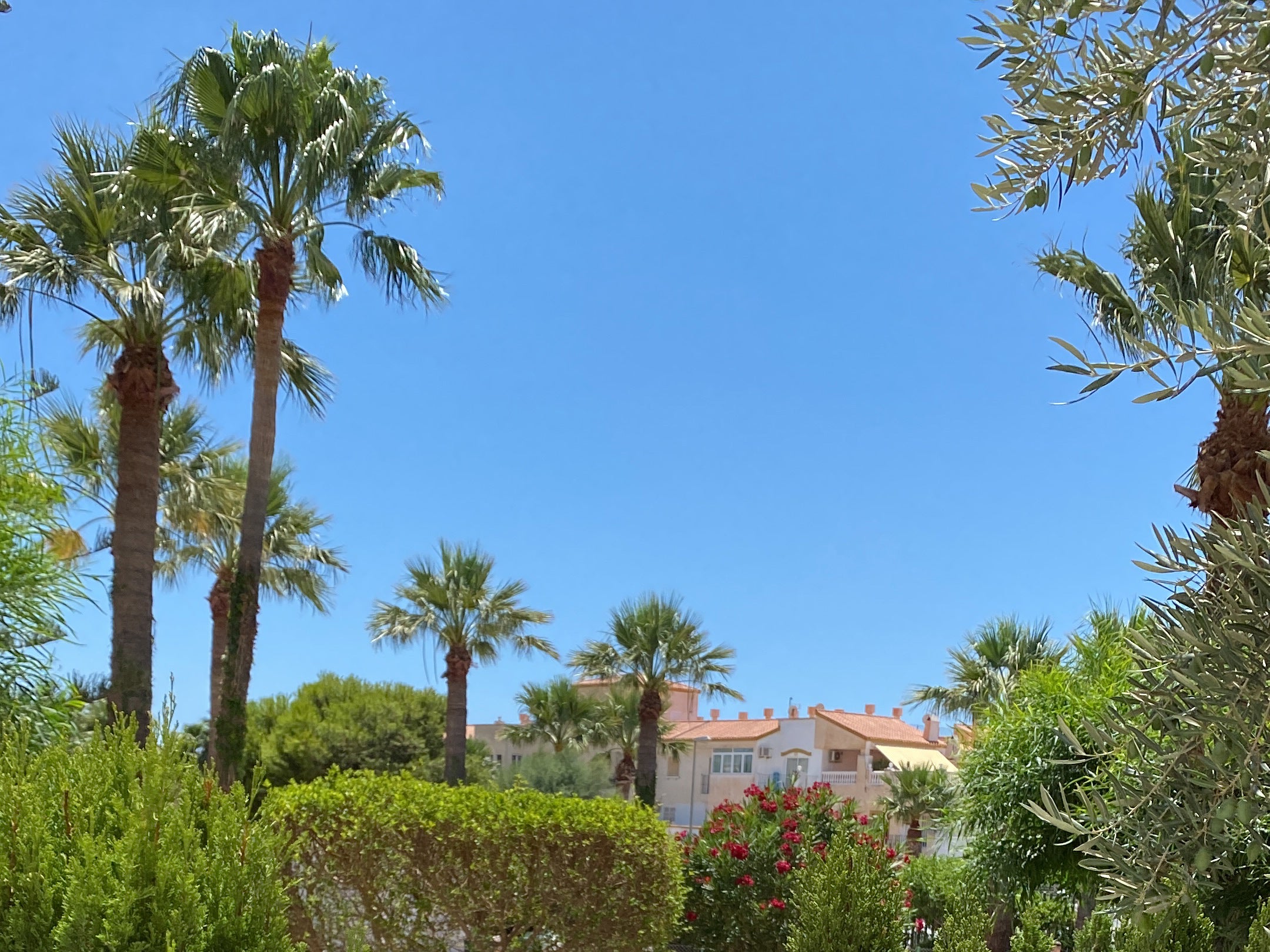 Los días de sol siguen siendo protagonistas pese a la llegada del otoño.