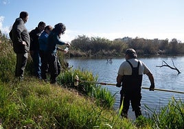 Un estudio de la UGR muestra el proceso que ha permitido que la Charca de Suárez sea referente de restauración