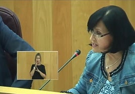 Intervención de la diputada socialista Paqui Santaella en el pleno de Diputación
