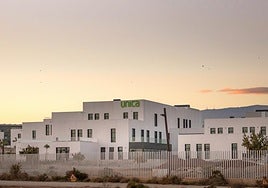 Única Group bate su propio récord superando los 800 millones de euros en volumen de negocio