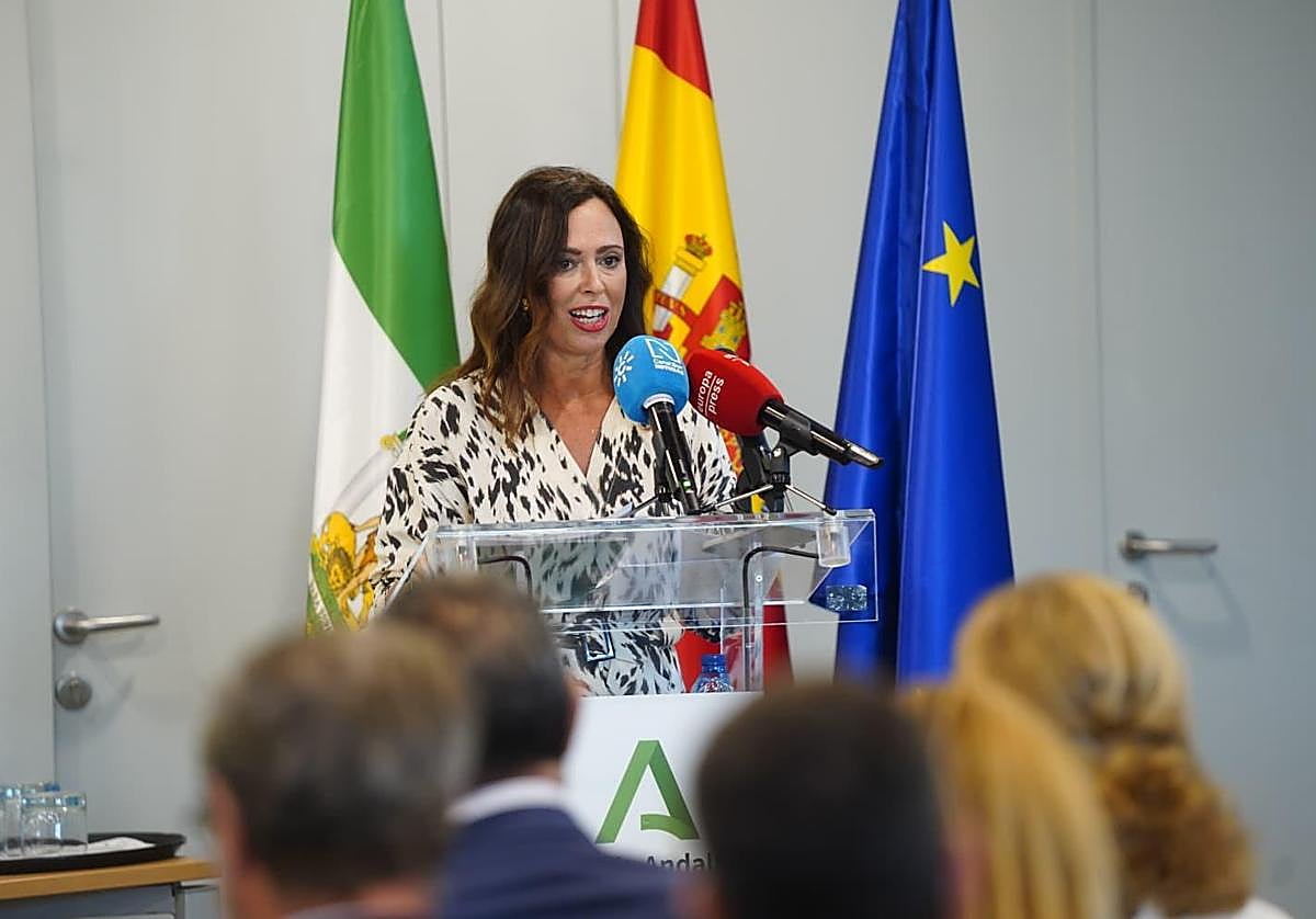 Rocío Díaz en la presentación de la bolsa de suelo.