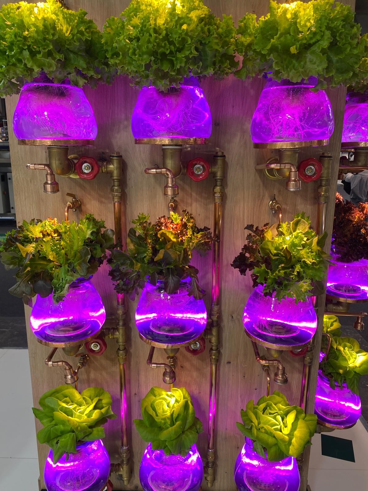 Almería se viste para el mejor escaparate de la agricultura, en Madrid