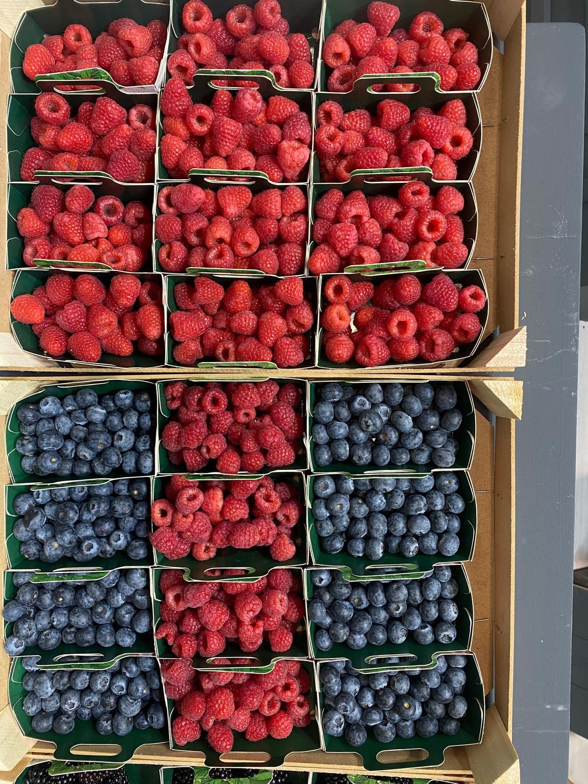 Almería se viste para el mejor escaparate de la agricultura, en Madrid