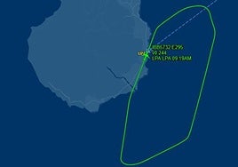 Un avión de Gran Canaria a Granada regresa al aeropuerto tras escaparse un perro en la bodega.
