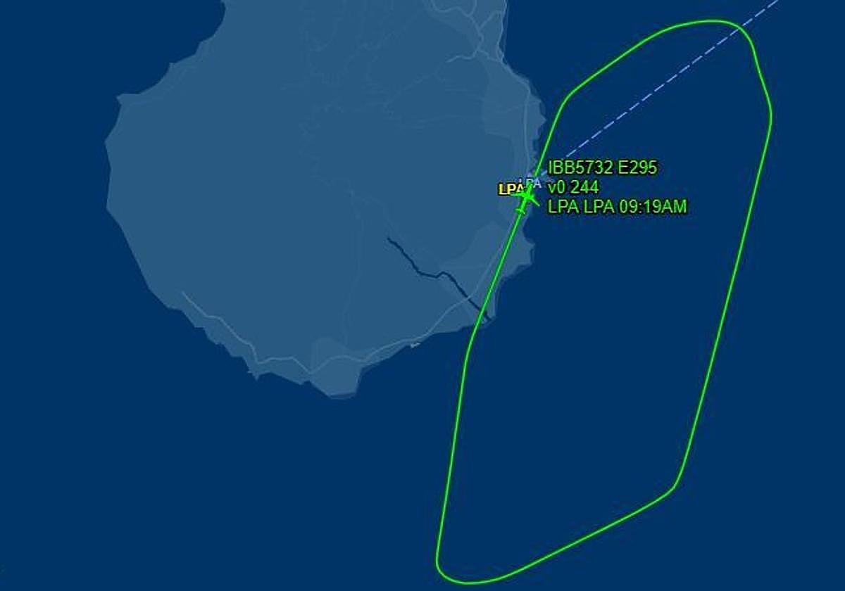 Un avión de Gran Canaria a Granada regresa al aeropuerto tras escaparse un perro en la bodega.
