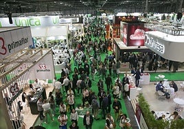 Pasillo central del pabellón nueve, en el que se ubica la exposición de la mayor parte de las empresas agroalimentarias andaluzas.