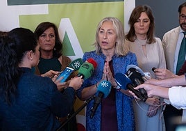 Rocío Hernández, consejera de Salud, este viernes en Granada.