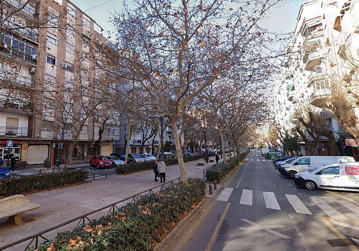 Avenida Don Bosco del Zaidín, donde se produjo el atropello.