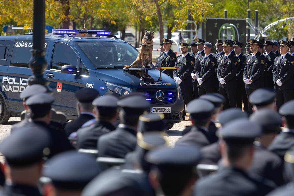 Las imágenes de la celebración del Patrón de la Policía en Granada