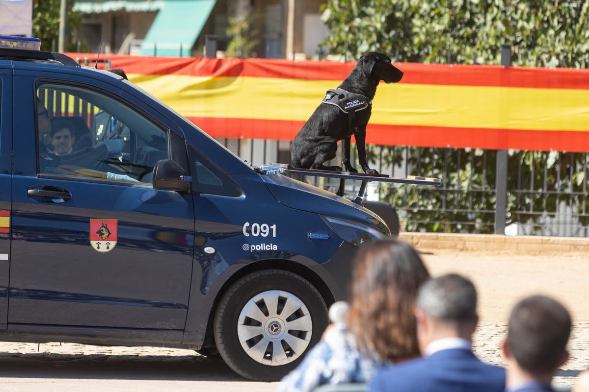 Las imágenes de la celebración del Patrón de la Policía en Granada