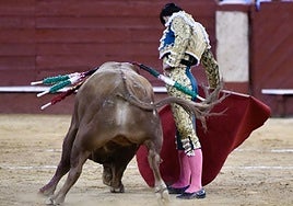 Agauado torea con la derecha al toro de El Pilar, con el que conquista el Capote de Paseo.