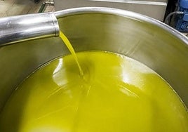 Las lluvias de octubre determinarán la producción del aceite de oliva y fijarán su precio.