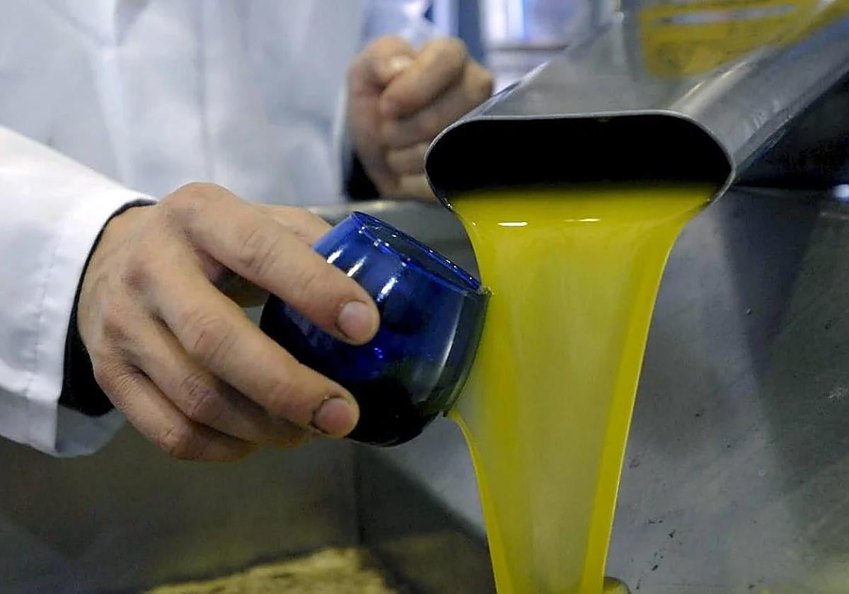 Cata de aceite en una imagen de archivo.