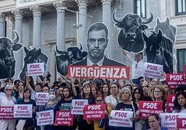 Concentración de los firmantes de la ILP 'No es mi cultura' para la derogación de la tauromaquia frente al Congreso.