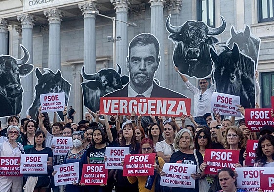 Concentración de los firmantes de la ILP 'No es mi cultura' para la derogación de la tauromaquia frente al Congreso.