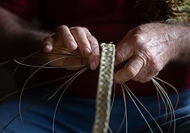 Esta imagen fue tomada con motivo de un reportaje que se publicó en este diario el pasado lunes.