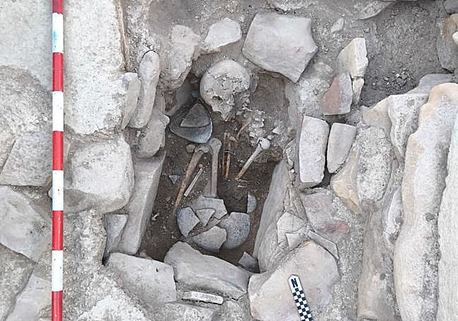Restos óseos encontrados en la campaña actual.