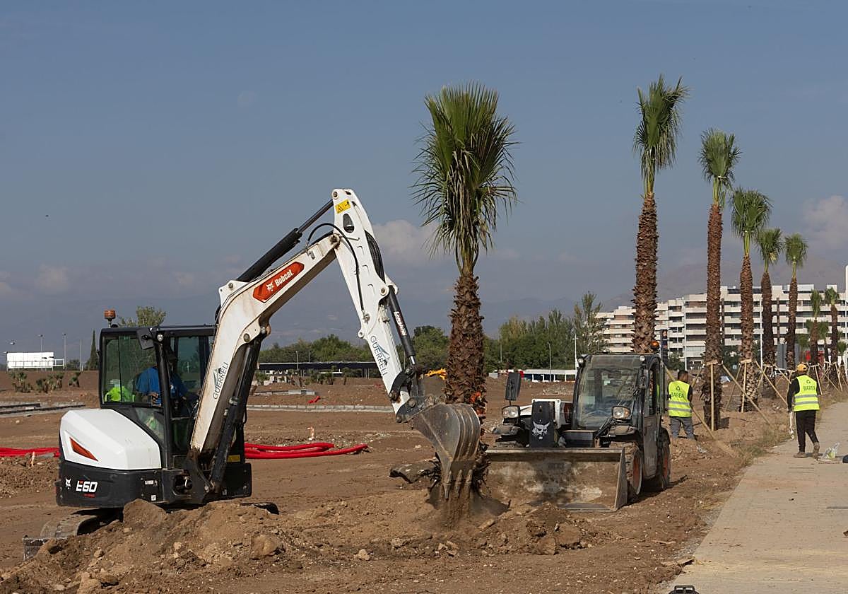 Los primeros árboles llegan al futuro Parque de las Familias