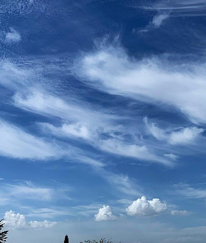 Imagen secundaria 2 - Nubes llamadas mechón de pelo o cola de caballo. 