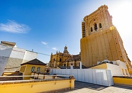 Tejado de Niñas Nobles, desde donde se divisa la torre de la Catedral.