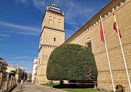 Vista del laurel del Hospital de Santiago, acordonado.