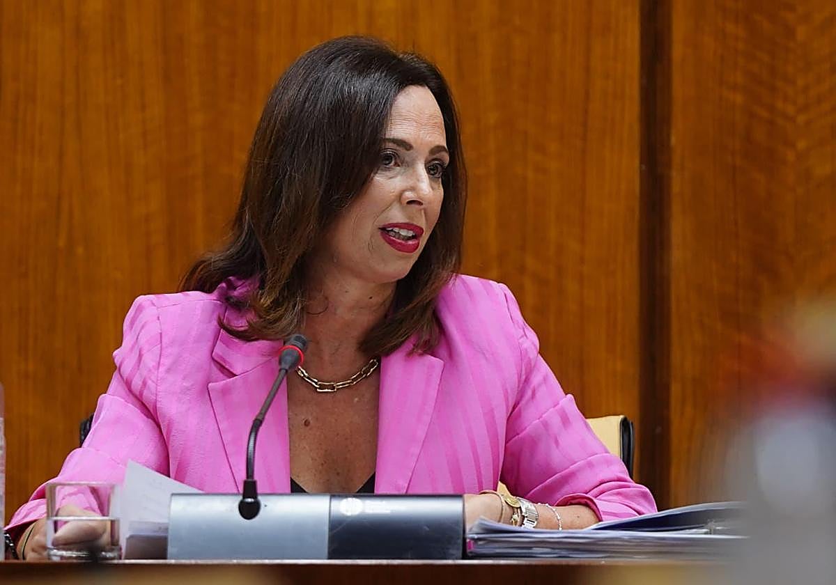 La consejera de Fomento, Rocío Díaz.