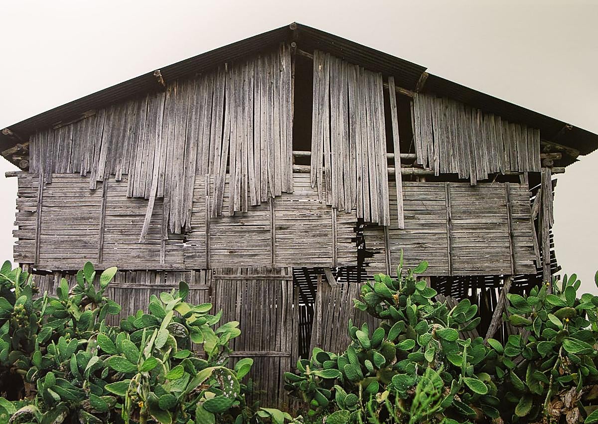 Imagen secundaria 1 - Exposición 'De lo cercano'. 