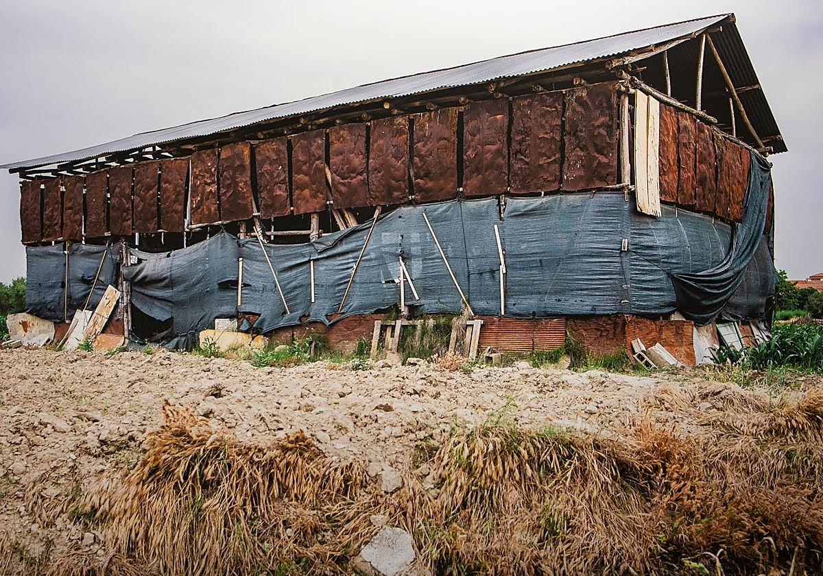 Imagen principal - Exposición 'De lo cercano'. 