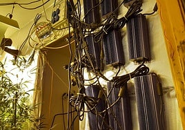 Enganches ilegales junto a una plantación de marihuana en una de las actuaciones realizadas.