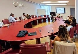 Representantes de distintas agencias de marketing en la presentación en el salón de plenos de Cámara Granada