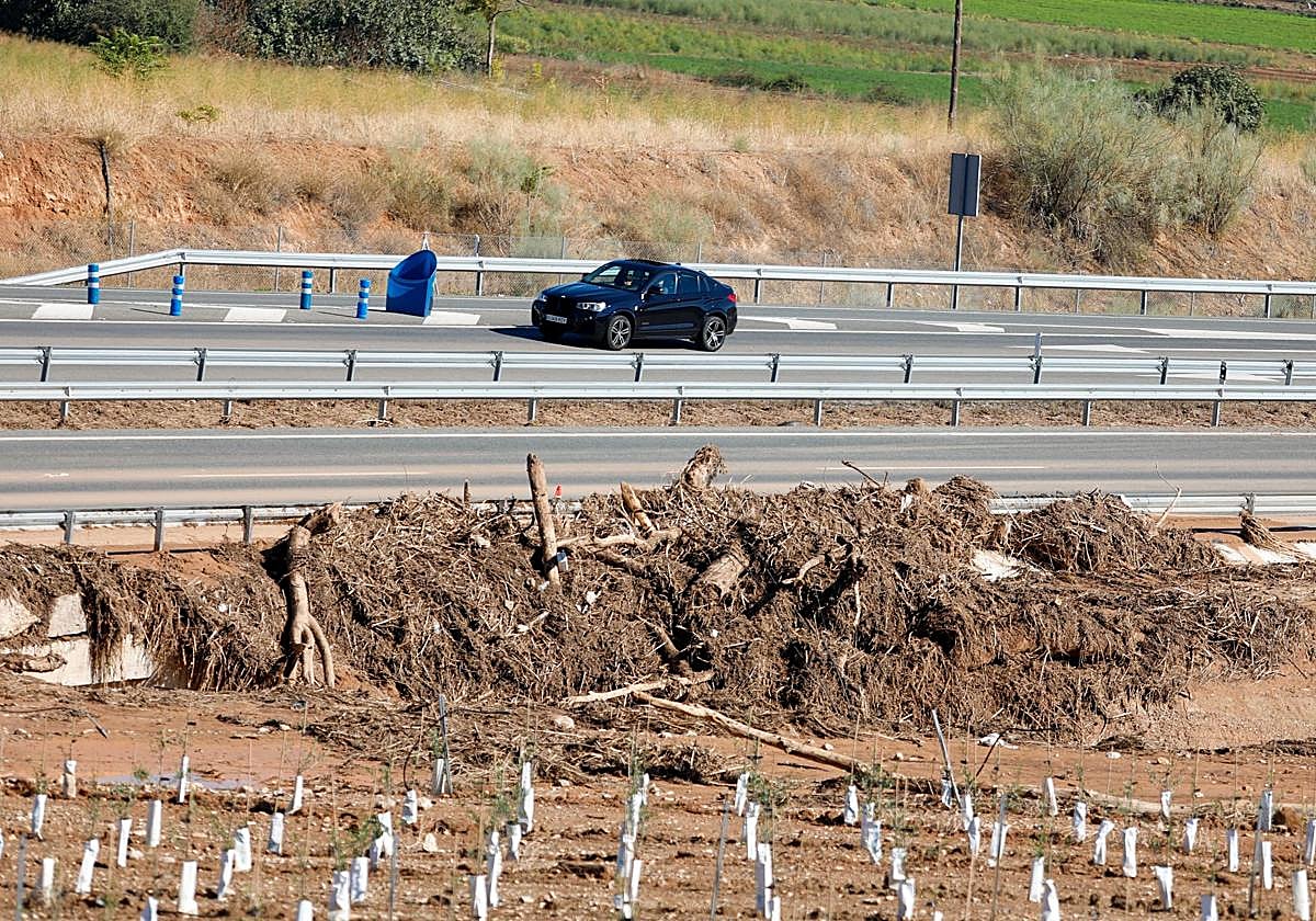 Restos de la inundación de la A-92, a la altura de Trasmulas, el pasado viernes 10 de abril.