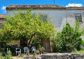 La huerta de la Mariana antes de que las máquinas pasaran por las acequias