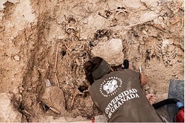 Los trabajos de recuperación de la memoria democrática vuelven a las fosas del cementerio municipal de Padul