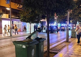 Actuación de la Policía Nacional en el centro de Granada.
