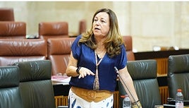 La consejera de Desarrollo Educativo y Formación Profesional de la Junta de Andalucía, María del Carmen Castillo