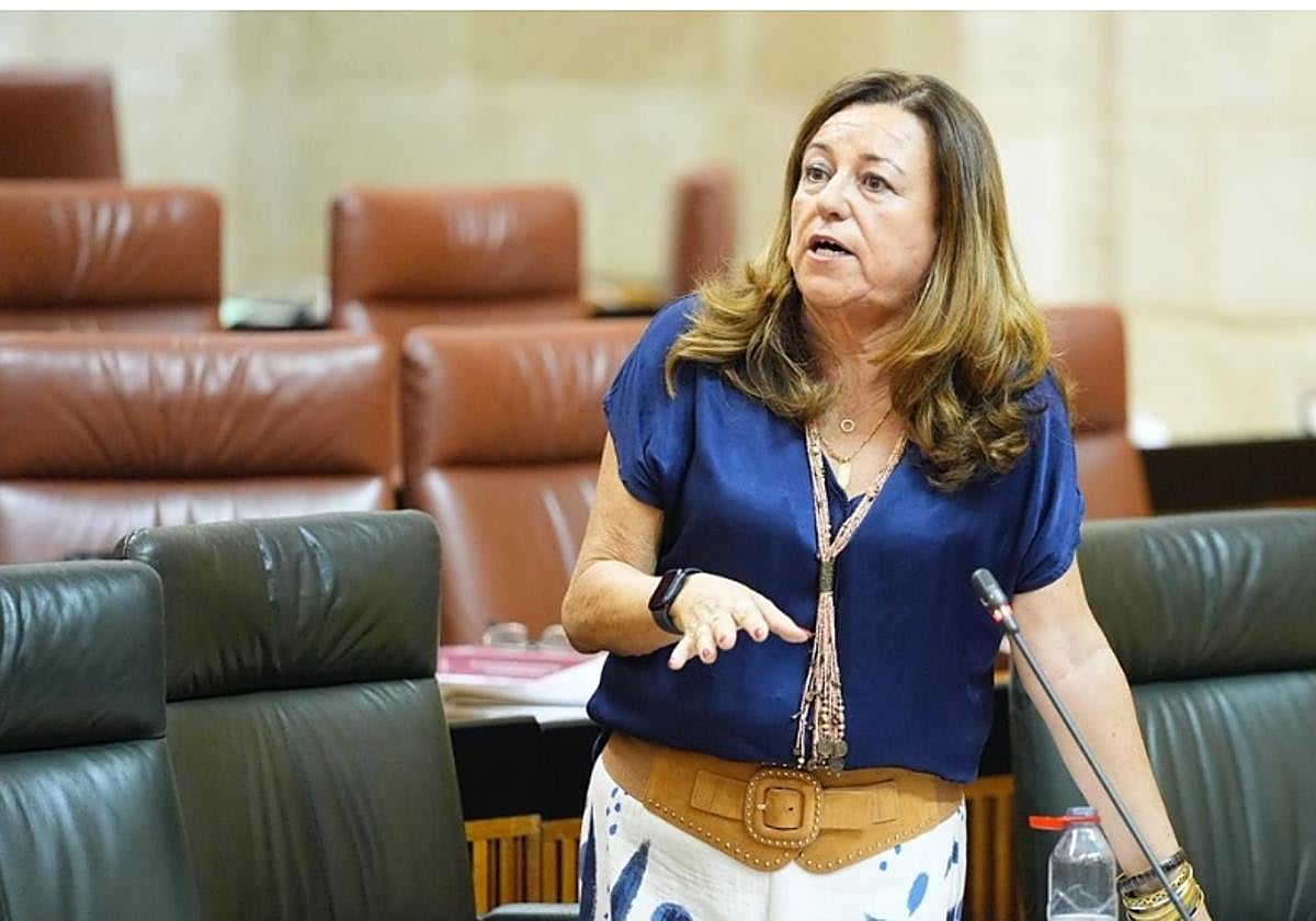 La consejera de Desarrollo Educativo y Formación Profesional de la Junta de Andalucía, María del Carmen Castillo